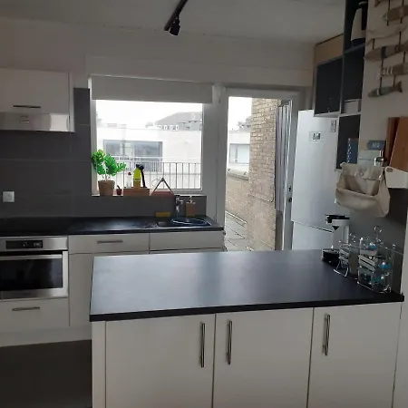 شقة Gezellig Centraal Gelegen Penthouse أوستيند