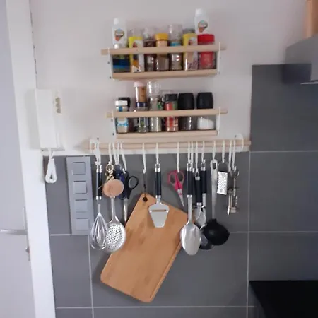Daire Gezellig Centraal Gelegen Penthouse Oostende