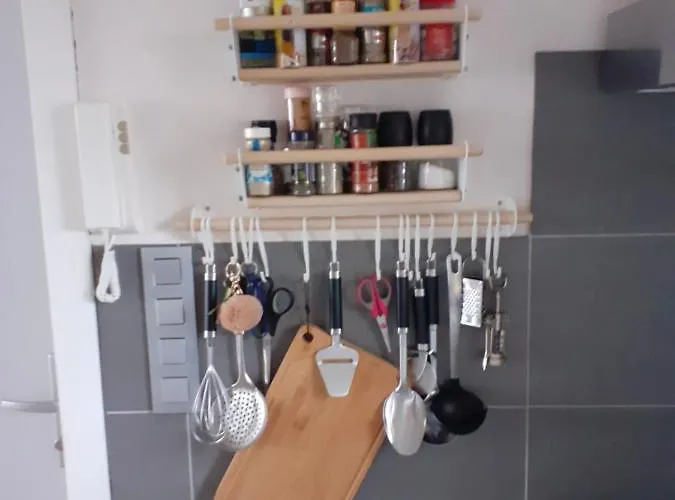 Appartement Gezellig Centraal Gelegen Penthouse Oostende